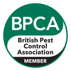 Pest Control London