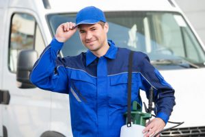 pest exterminators essex technician at work