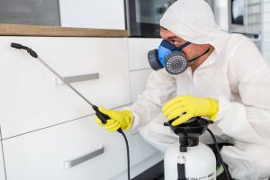 Hertfordshire Exterminator