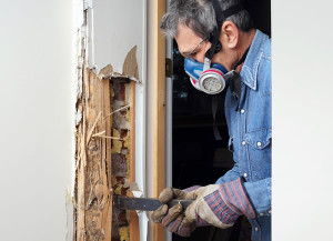 pest control in london technician at work