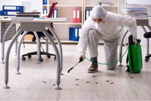 pest controller in a Hertfordshire business property