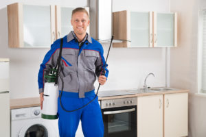 Pest Exterminator
