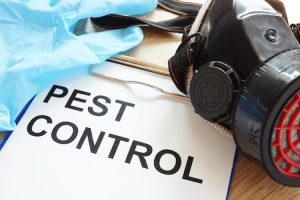 pest control hertfordshire banner 1