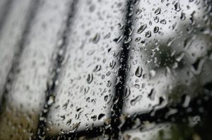 damp london home