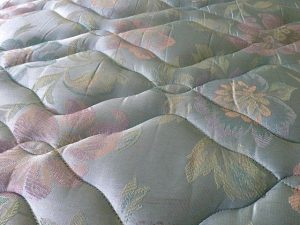 mattress with bed bugs