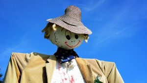 pigeon scaring scarecrow