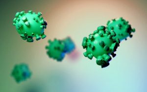 viruses from rats