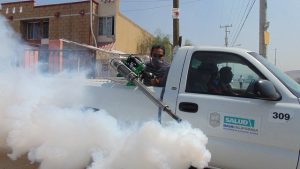 flea fumigation treatment