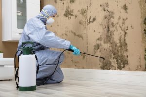 pest control south london