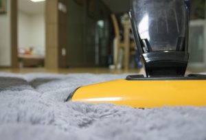 vacuum more often