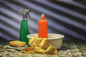 pest prevention home cleaning