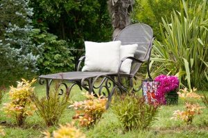 rats in your garden