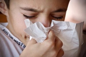 sneezing cockroach allergy