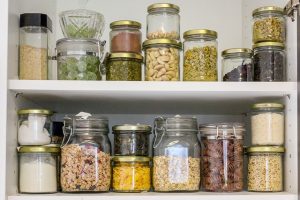 types of food bugs