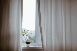 curtains fleas