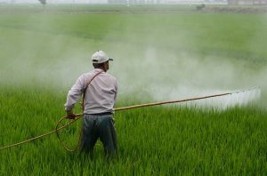spraying pesticides