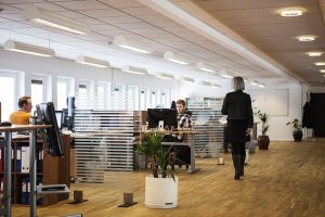 pest problems in offices