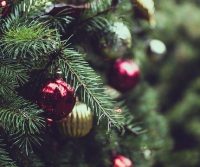 real tree