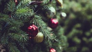 real tree