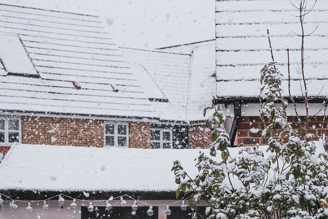 roof snowing
