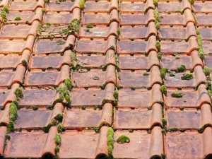 old roof