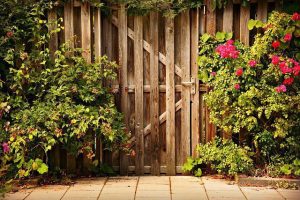 door bushes