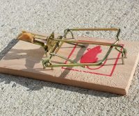 mouse trap