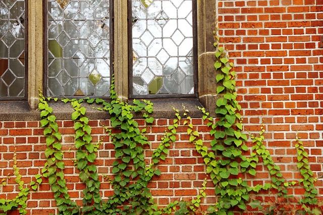 wall