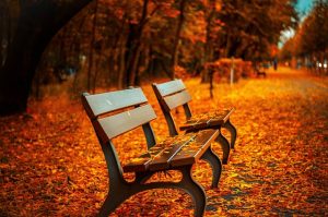 pests in autumn