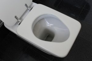 toilet