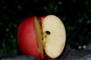 apple seed