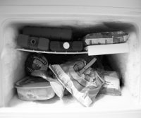 freezer for killing moths