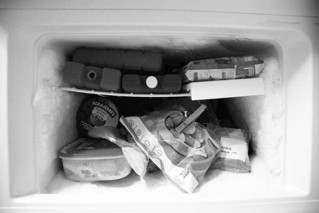 freezer for killing moths