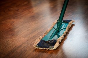 spring clean for pests