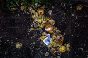 food rubbish