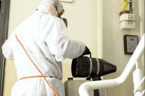 flea fumigation