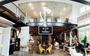 fleas infest office spaces