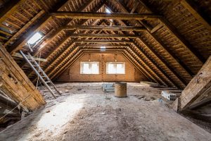 rats in the loft